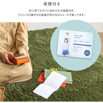 指で弾くピアノ カリンバ初心者セット 絵柄付きタイプ ホームテイスト