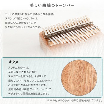 指で弾くピアノ カリンバ初心者セット 絵柄付きタイプ ホームテイスト