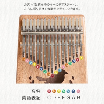 指で弾くピアノ カリンバ初心者セット 絵柄付きタイプ ホームテイスト