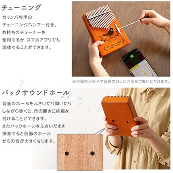 指で弾くピアノ カリンバ初心者セット 絵柄付きタイプ ホームテイスト