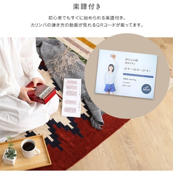 指で弾くピアノ カリンバ初心者セット 絵柄付きタイプ ハードケースつき ホームテイスト