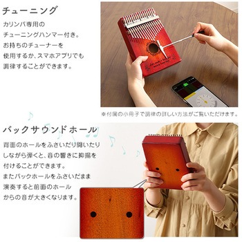指で弾くピアノ カリンバ初心者セット 絵柄付きタイプ ハードケースつき ホームテイスト