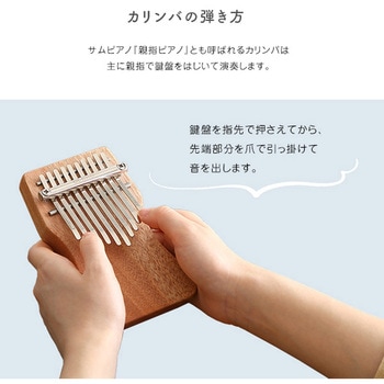 指で弾くピアノ カリンバ初心者セット ハンドメイドタイプ 10キー ホームテイスト