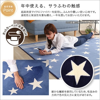マイクロファイバー・デザインラグマットSSサイズ(100×140cm)洗えるラグマット 【WASHFA】 - ホームテイスト