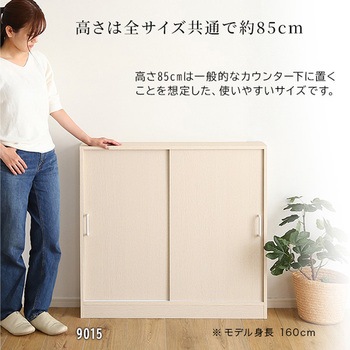 さわやかなカウンター下引き戸収納9015 ホームテイスト