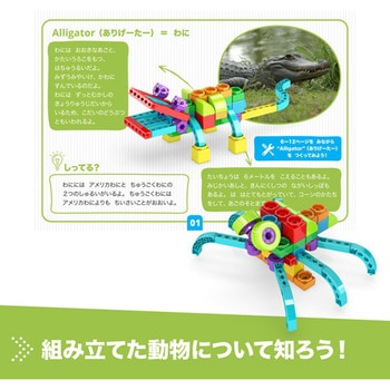 QBOIDZ "alligator" with 5 bonus models(わに) ENGINO