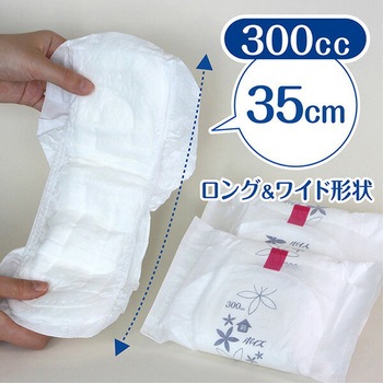 ポイズ 肌ケアパッド 日本製紙クレシア