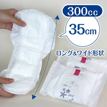 ポイズ 肌ケアパッド 日本製紙クレシア