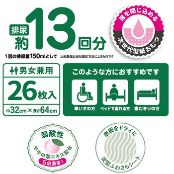 夜一枚 超吸収パッド 第一衛材