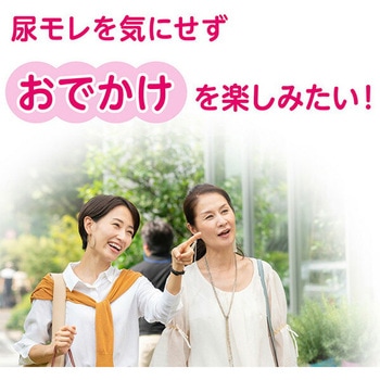 ポイズ さらさら吸収 パンティライナー 日本製紙クレシア