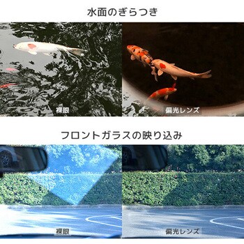 偏光サングラス BUNNY WALK(バニーウォーク)
