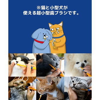 デンタルクリーン歯ブラシ 超極細毛 (犬・猫兼用) ぺスルーム(Pethroom)