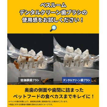 デンタルクリーン歯ブラシ 超極細毛 (犬・猫兼用) ぺスルーム(Pethroom)
