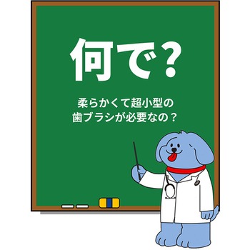 デンタルクリーン歯ブラシ 超極細毛 (犬・猫兼用) ぺスルーム(Pethroom)