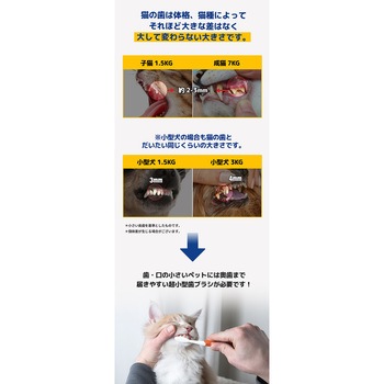 デンタルクリーン歯ブラシ 超極細毛 (犬・猫兼用) ぺスルーム(Pethroom)