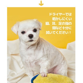スポンジタオル (犬・猫兼用) ぺスルーム(Pethroom)