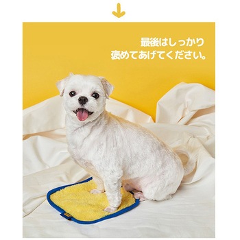 スポンジタオル (犬・猫兼用) ぺスルーム(Pethroom)