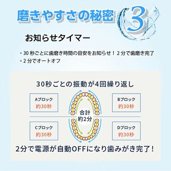 音波振動歯ブラシ 替えブラシ付き(3個) decle(デクレ)