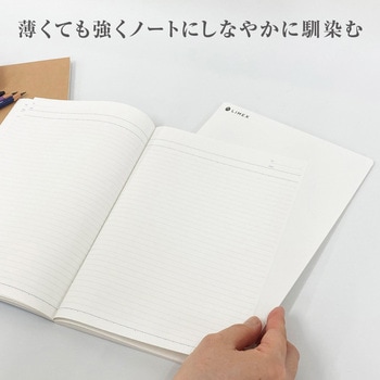 LIMEXライティングシート 共栄プラスチック