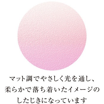 グラデーションしたじきA5 共栄プラスチック