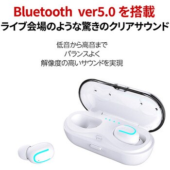 AL01(BK) Bluetooth 5.0 ワイヤレス イヤホン 軽量 防水IPX5 1個