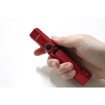 首振りポケットLEDライト 充電池乾電池兼用 Nicron(ニクロン)