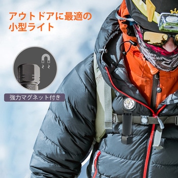 首振りポケットLEDライト 充電池乾電池兼用 Nicron(ニクロン)