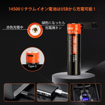 首振りポケットLEDライト 充電池乾電池兼用 Nicron(ニクロン)