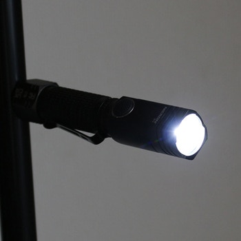首振りポケットLEDライト 充電池乾電池兼用 Nicron(ニクロン)