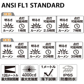 首振りポケットLEDライト 充電池乾電池兼用 Nicron(ニクロン)