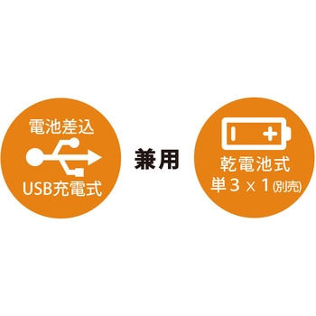 首振りポケットLEDライト 充電池乾電池兼用 Nicron(ニクロン)