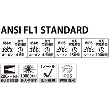 首振りレッド・グリーンLED付ライト 充電式 Nicron(ニクロン)