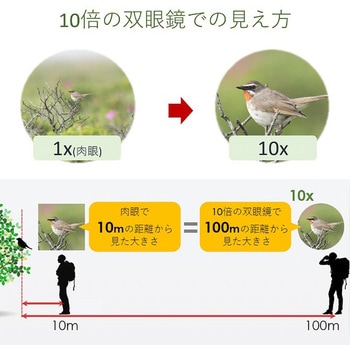 双眼鏡 BINOCULARS 10X20 IS Canon