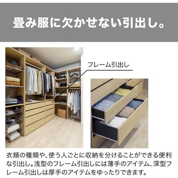 ウォールゼットノエル3 深型フレーム引出し 1段 南海プライウッド