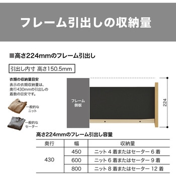 ウォールゼットノエル3 深型フレーム引出し 1段 南海プライウッド
