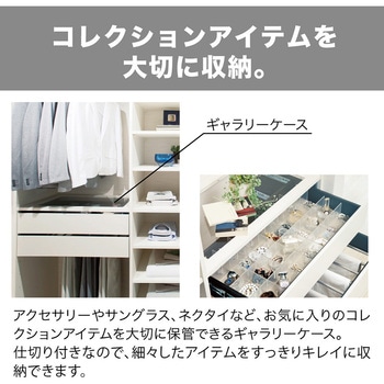 ウォールゼットノエル3 ギャラリーケース 南海プライウッド