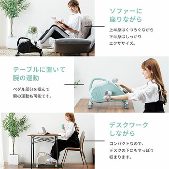 Bluetooth搭載 エアロマグネティックミニバイク アルインコ