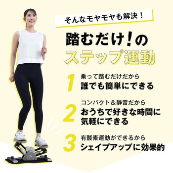 サイドステッパー 保護マット付き アルインコ