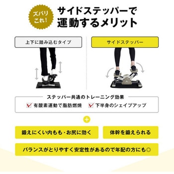 サイドステッパー 保護マット付き アルインコ