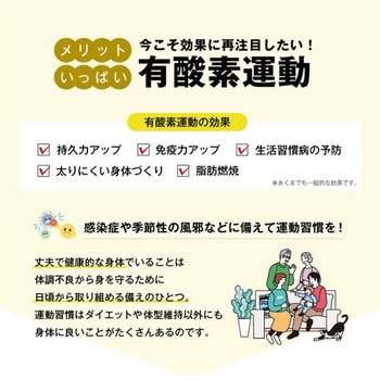 サイドステッパー 保護マット付き アルインコ