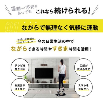 サイドステッパー 保護マット付き アルインコ