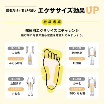 サイドステッパー 保護マット付き アルインコ
