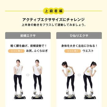 サイドステッパー 保護マット付き アルインコ