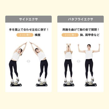 サイドステッパー 保護マット付き アルインコ