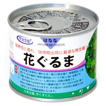 花ぐるま(花菜) 丸種