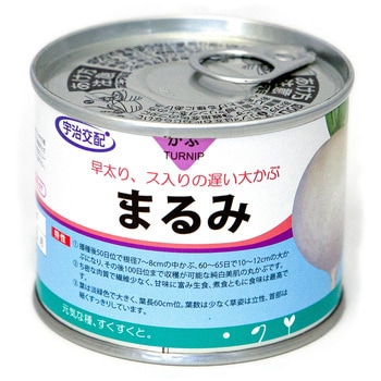 まるみ(かぶ) 丸種