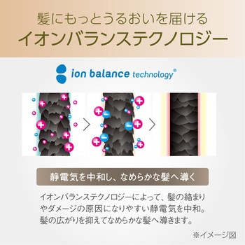 ハイパワーイオンバランスドライヤー Salon Sense