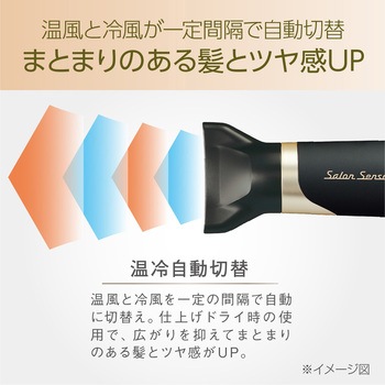 ハイパワーイオンバランスドライヤー Salon Sense