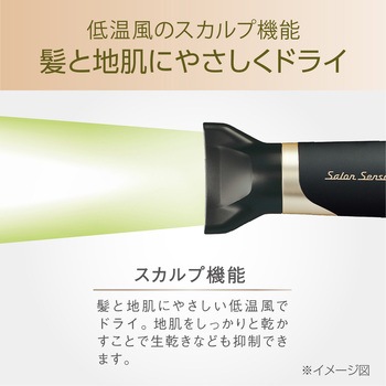 ハイパワーイオンバランスドライヤー Salon Sense