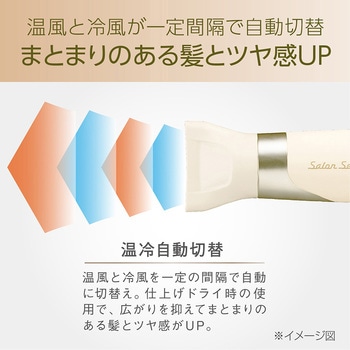 ハイスピードイオンバランスドライヤー Salon Sense